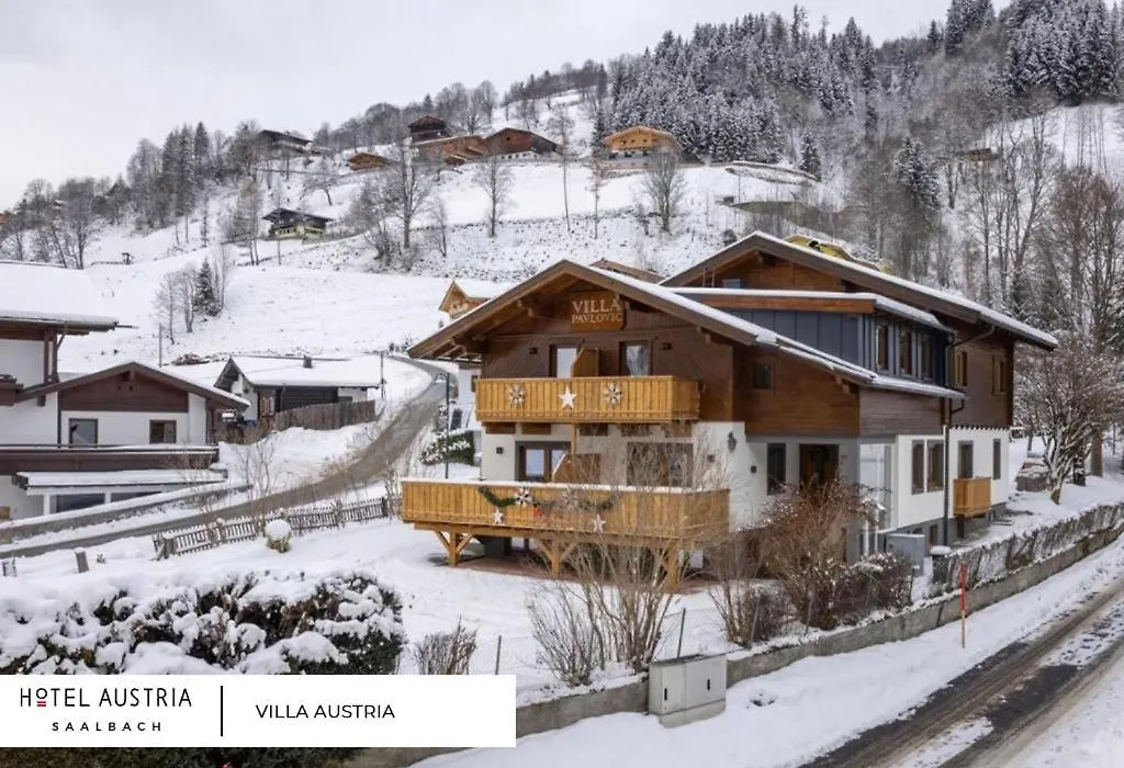 Villa Austria Saalbach-1